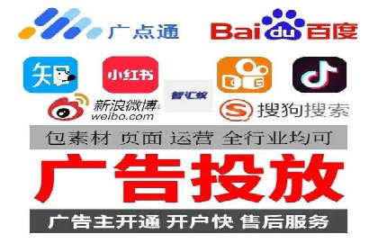 百度优化推广案例：打造行业领先品牌